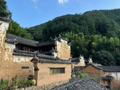 -杨家堂村