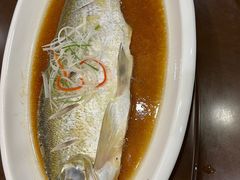 清蒸白鱼-華僑飯店中餐厅