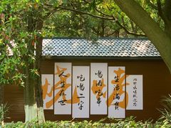 -白马涧龙池景区