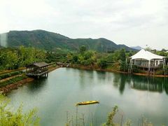 -帐篷客·溪龙茶谷度假酒店