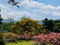 -中国科学院西双版纳热带植物园