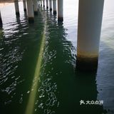 演武大桥观景台之光影秀