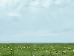 -青海湖国家重点风景名胜区