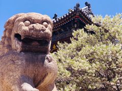 -五台山风景名胜区-罗睺寺
