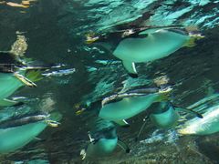 -成都浩海立方海洋公园