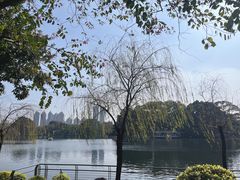 -东山湖公园