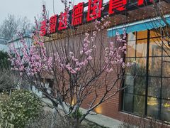 -普兰达德国餐厅·德式脆皮烤猪肘·自酿啤酒(观唐店)