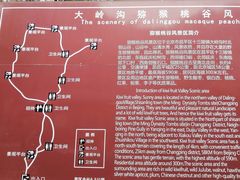 -大岭沟猕猴桃谷风景区