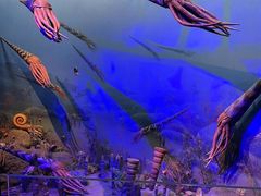 -浙江自然博物院(杭州馆)