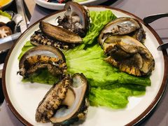 活鲍鱼-金龙·打边炉(南京西路店)