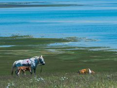 -青海湖国家重点风景名胜区