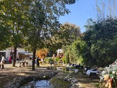 -HERRE·FARM 赫尔露营农场·团建聚会包场