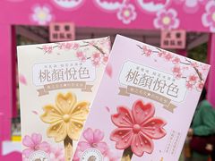 -桃花堤公园