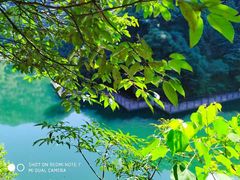 -祁门牯牛降观音堂风景区