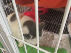 -边渡咖啡烘焙店(昙华林店)