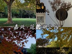 -范蠡湖公园