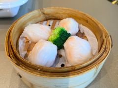 -珍之宝御品·寻味顺德(容桂渔人码头店)