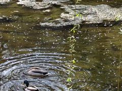 -元大都城垣遗址公园