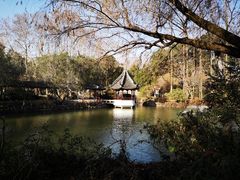 -上海醉白池公园