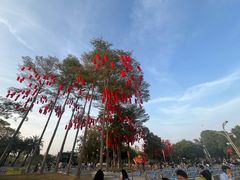 -深圳湾公园(南山区)