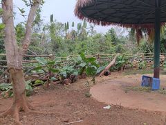 -海南热带野生动植物园