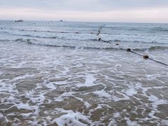-日照海滨国家森林公园