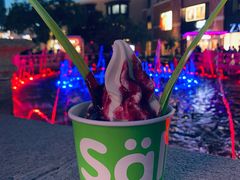 冻酸奶-Salud撒露欧洲冻酸奶(蓝色港湾店)
