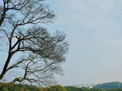 -无锡梅园公园
