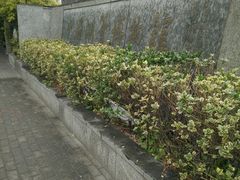 -中国湖笔博物馆(莲花庄路)