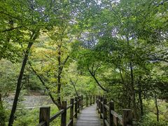 -本溪汤沟绿石谷森林公园