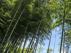 -同里国家湿地公园