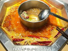 -蜀九香火锅(九眼桥店)