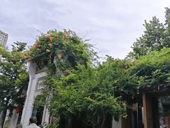 -鲤院·新中式美学·庭院餐厅(夫子庙店)