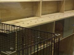 -同至人购物中心(朝阳街店)