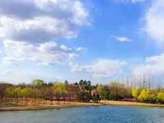 -大兴滨河森林公园