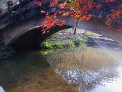 -田野绿世界