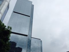 -重庆市江北嘴中央商务区中央公园