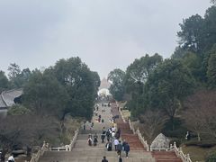 -庐山风景名胜区-东林大佛