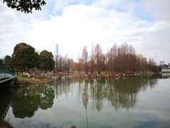 -白塘生态植物园