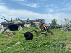 -祥源·阜阳生态乐园