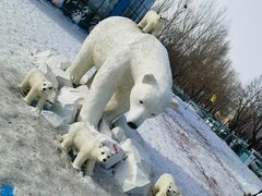 -哈尔滨极地公园