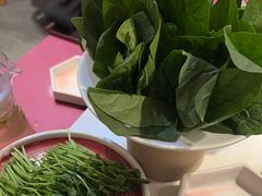 -九鼎轩脆毛肚火锅(三钢里店)