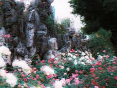 -人民公园(罗湖区)