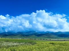 -青海湖国家重点风景名胜区