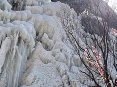 -黑龙潭风景区
