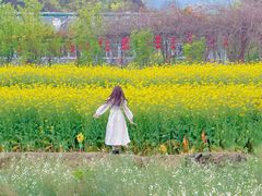 -莆田南少林寺