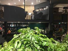 -百好乐宠物友好餐厅(朝外大街店)