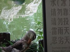 -宣武艺园