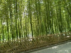 -紫竹院公园冰场
