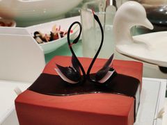 -BLACKSWAN黑天鹅(环球店)